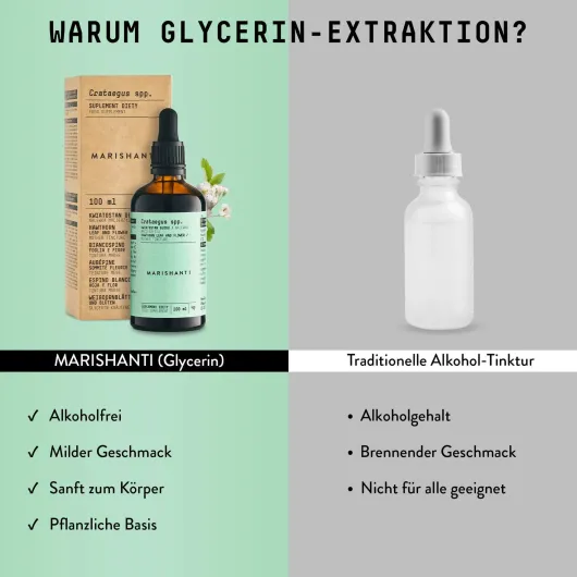 Weissdorn Extrakt Kräuter Tropfen alkoholfrei 100 ml