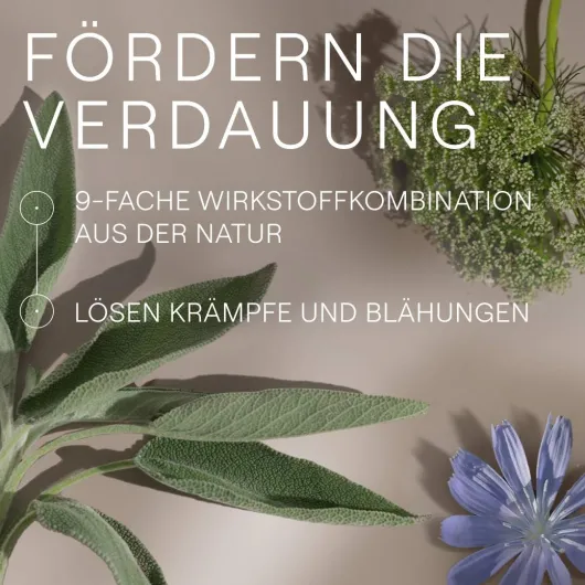 Weleda Amara Tropfen 20 ml