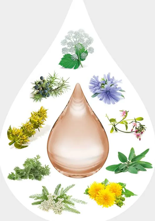 Weleda Amara Tropfen 20 ml