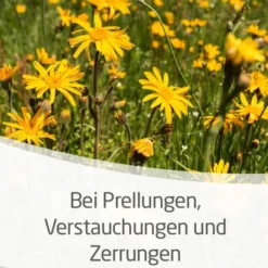 Weleda Arnika 30 % 25 G Salbe