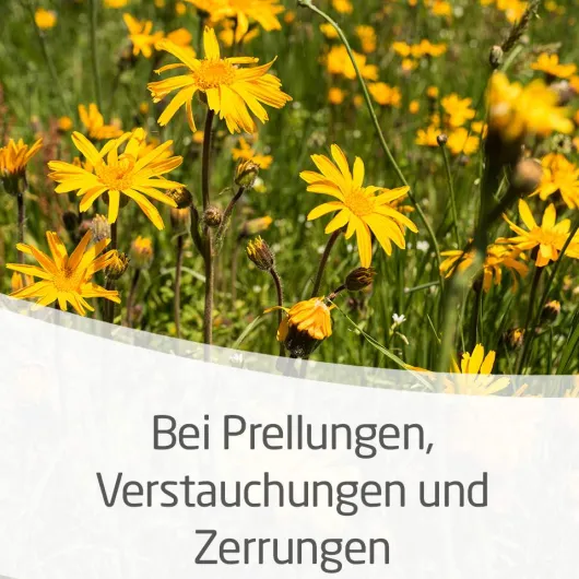 Weleda Arnika 30 % 25 G Salbe