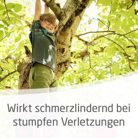 Weleda Arnika 30 % 25 G Salbe