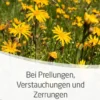 Weleda Arnika-Salbe 30% 70g Salbe
