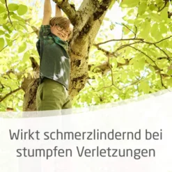 Weleda Arnika-Salbe 30% 70g Salbe