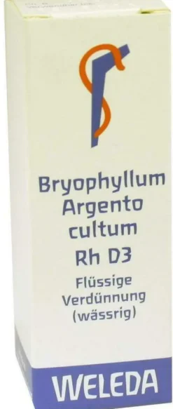 Weleda Bryophyllum Argento Cultum Rh D3 20 ml Dilution