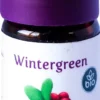 Wintergreen Bio Öl