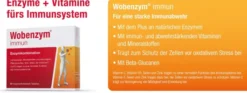 Wobenzym immun 60 Tabletten