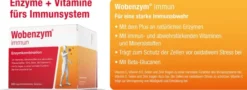 Wobenzym immun 240 Tabletten