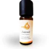 Zedernöl Kba 10 ml Ätherisches Öl