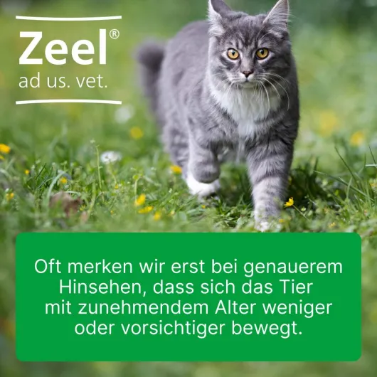 Zeel ad us. vet. 100 Tabletten