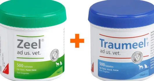 Zeel ad us. vet. 500 Tabletten + Traumeel T Vet. 500 Tabletten