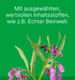 Zeel vet. 50 X 5 ml Ampullen