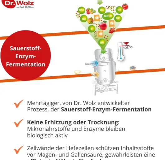 Zell Oxygen Immunkomplex Kur Flüssig 3x250ml