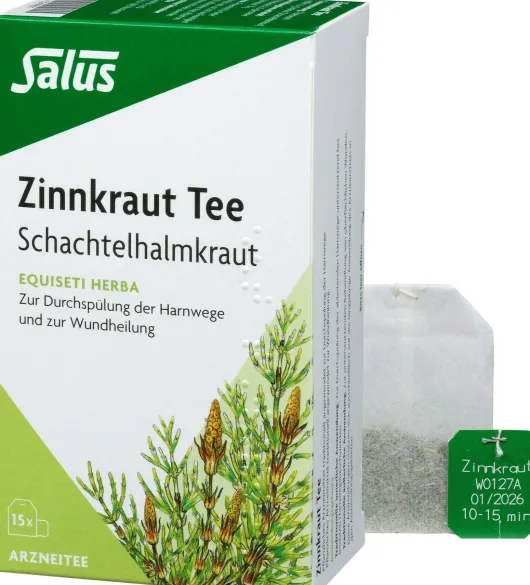 Zinnkraut Tee Salus 15 Filterbeutel