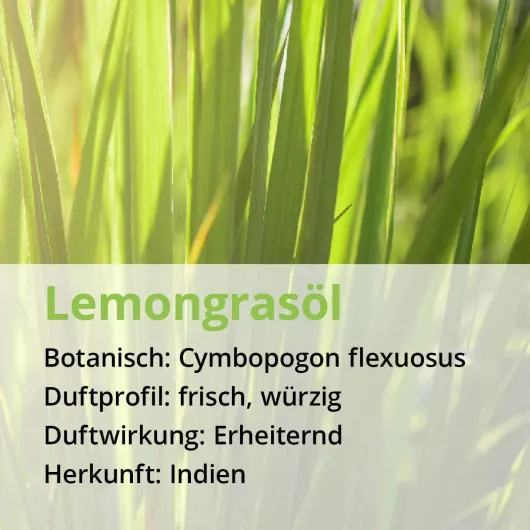 Zitronengras Lemongras Öl Naturrein Ätherisch 10 ml